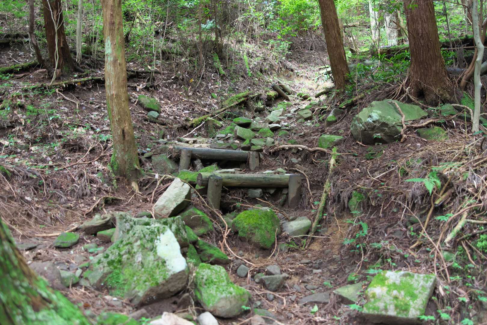 ここからは急登が続きます。