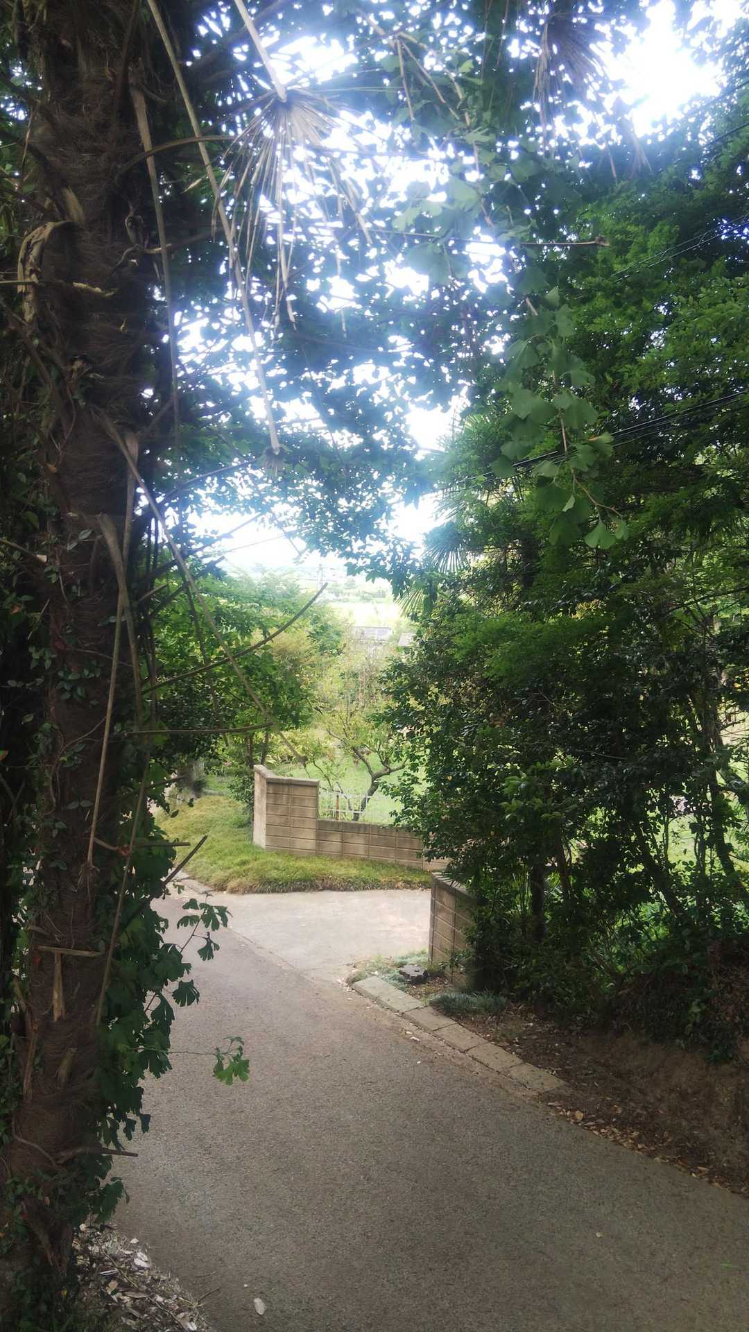 房総山岳志㊱ 鳥見ヶ丘（印旛） / ももくんの登山データ | YAMAP