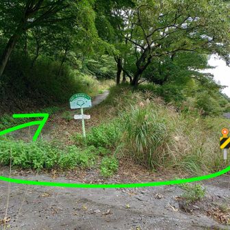 デッカイ砂防ダムが造られて本来の道が途切れたんだ。で、上に新しい道ができ、９km看板は置き去りにされたんだろうなぁ🤔
９km看板の発見は快挙ですよ😆