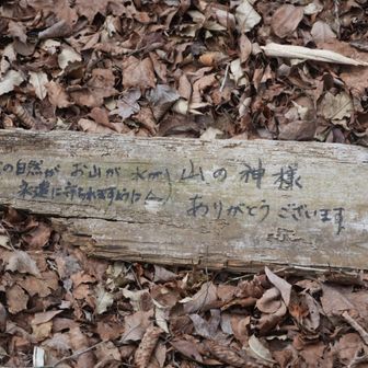 この自然がお山が水が永遠に守られますように❤️