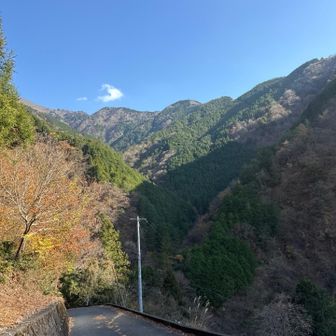 林道歩きが続く