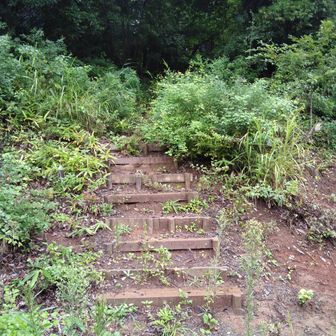 ここから登る