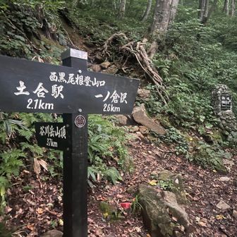 駐車場から10分ほど車道を歩いて来ると、みんな大好き西黒尾根の登山口があります。
今回はここをスルーして、マチガ沢出合から巖剛新道で登ります🫡