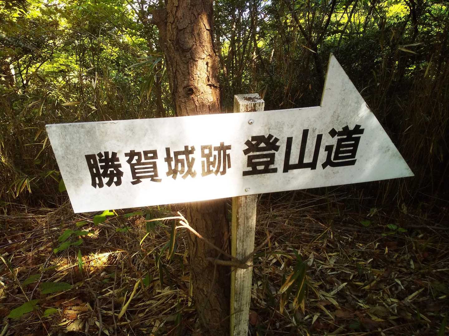 勝賀山登山口-赤子谷-勝賀山 往復コースの写真