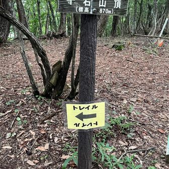 景色は見えず
ここまでで鹿10頭以上目撃