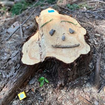 いちばん上の姉です