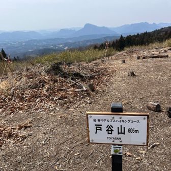 戸谷山山頂
写真下手過ぎ本当はもっと景色キレイです😅