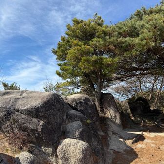 着いた〜
ここ最高