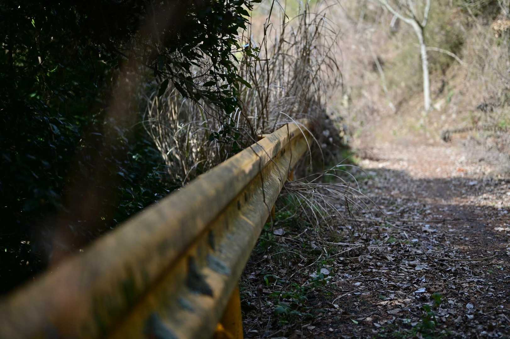 黄色が山口県を主張します