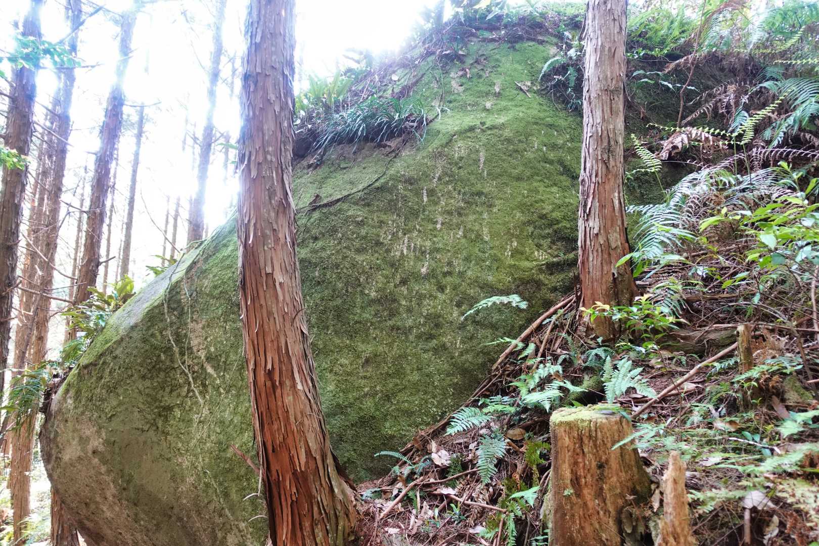 なんだか、馬みたいに見える岩。