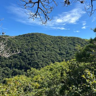 目指す鳥坂山😃