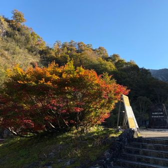 別当の紅葉🍁