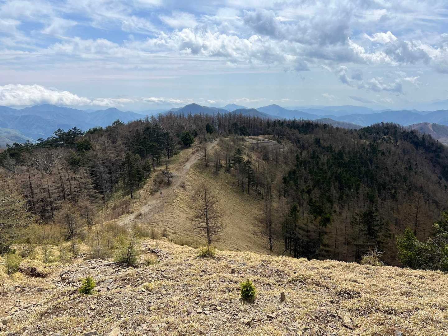 雲取山（鴨沢コース）の写真
