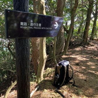あ〜しんど❗️