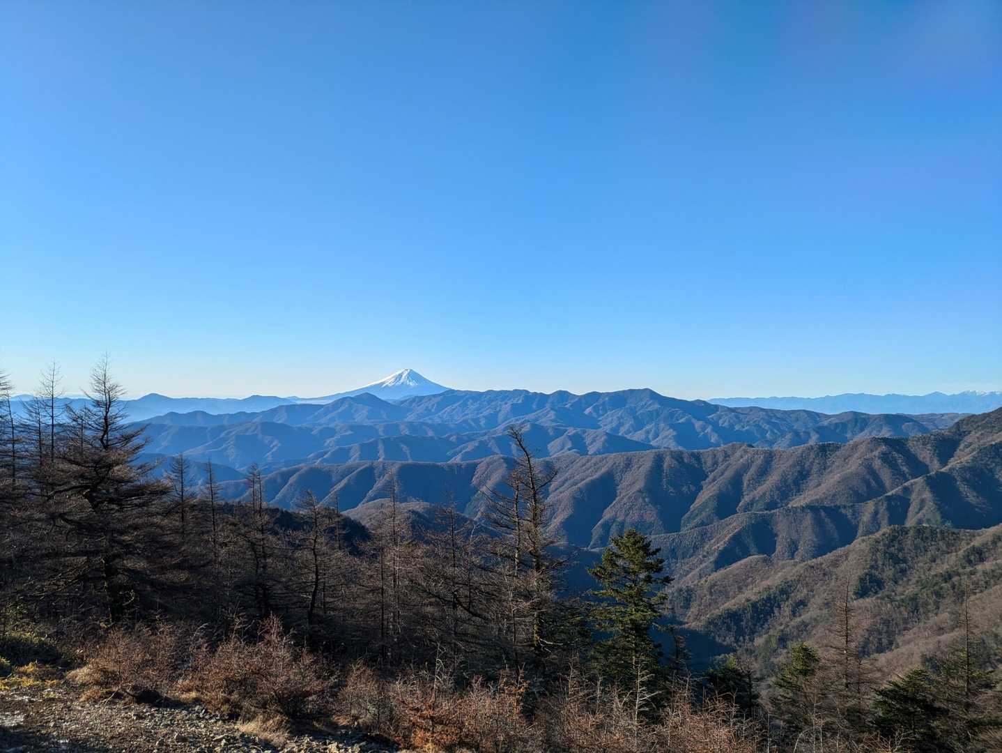 小袖登山口-七ツ石山-雲取山-雲取山荘 往復コースの写真