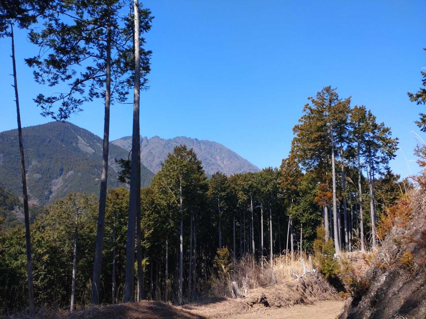 篠井山。