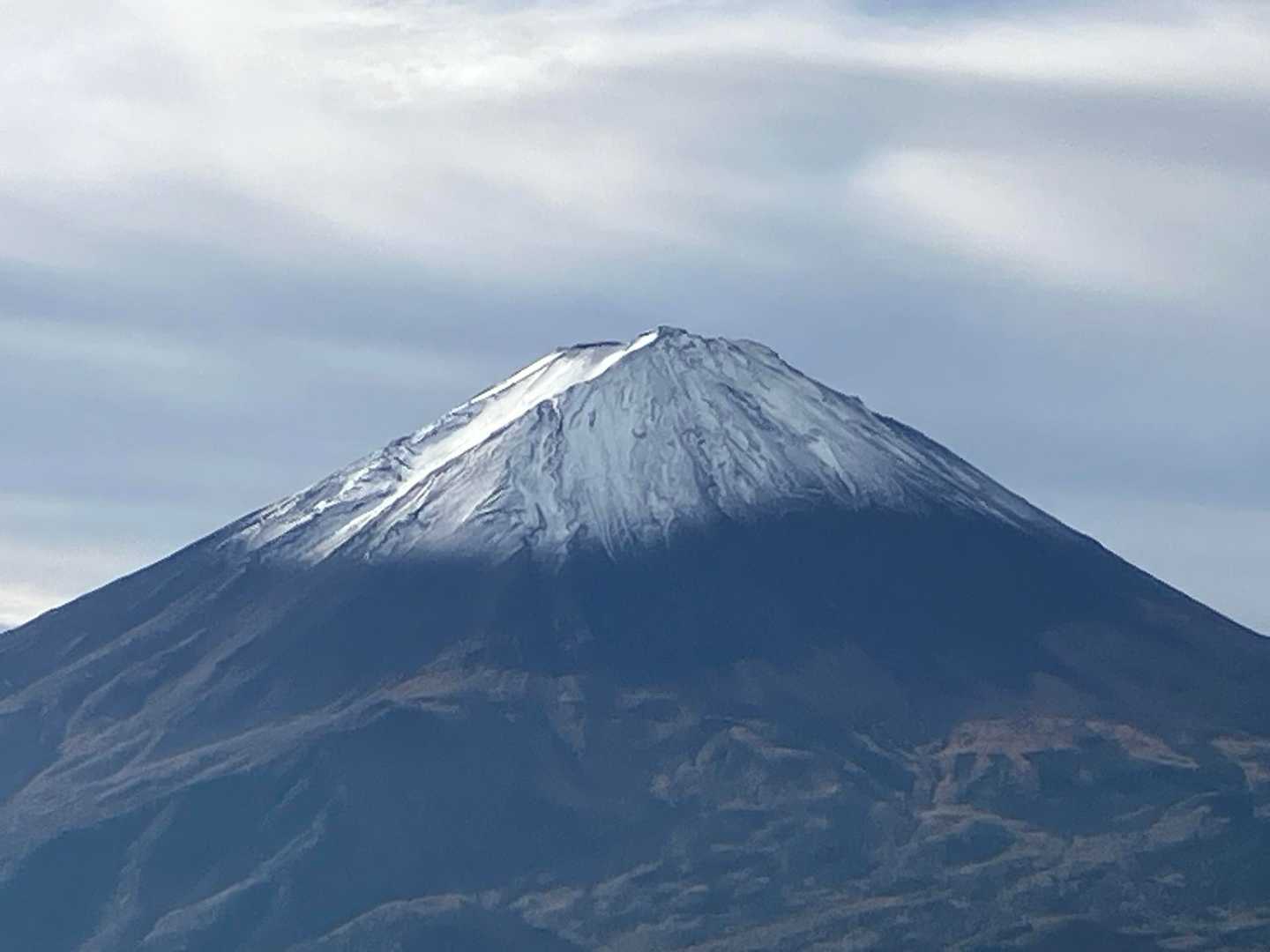 冠雪してます♪