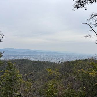京都を眺める