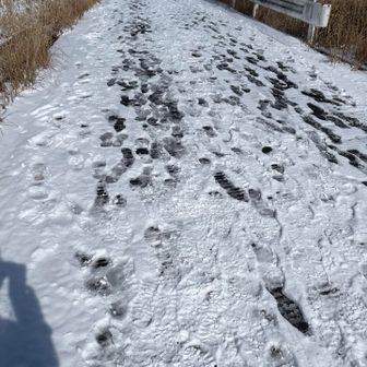 結構来てるな🐾
何と、18組とすれ違いました❗️