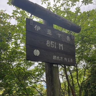 とみそー