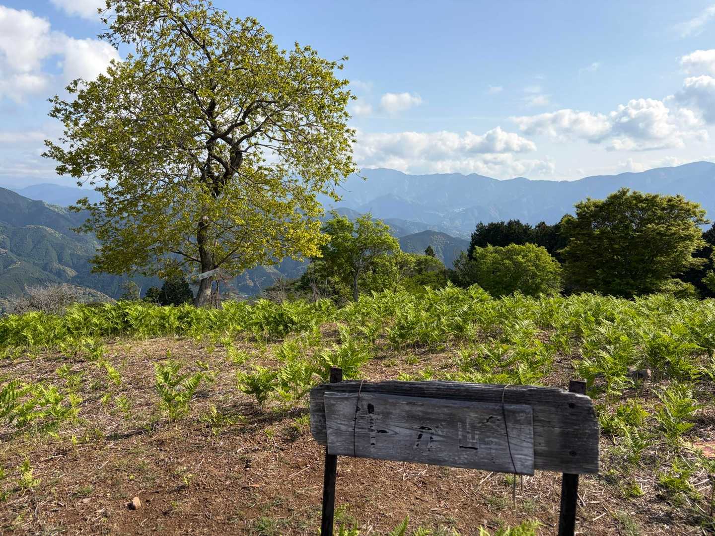牛ケ峰🐄