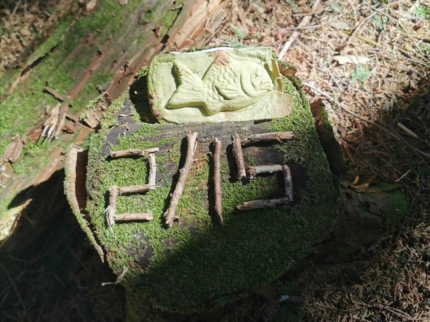 たい焼きを添えて😆