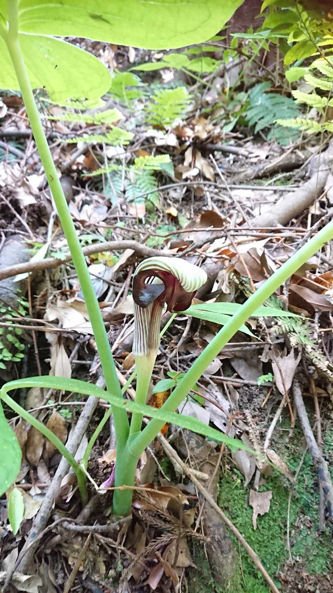 沢山ありました