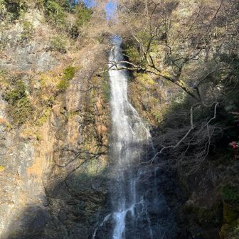 めちゃくちゃ久しぶりに滝まで到着しました。