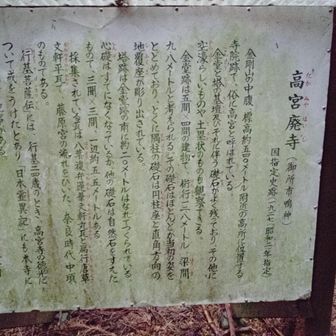 高宮廃寺の説明板
詳しい由来がわかっていないというのが逆にロマンがありますね