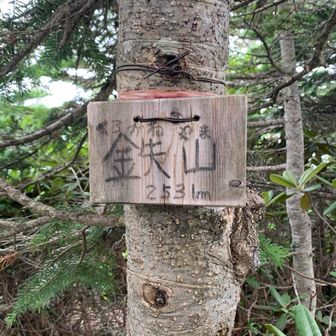 くろがねやまって読むのか❗️