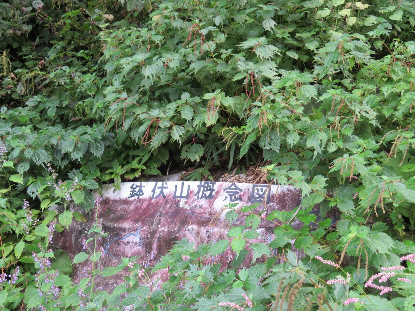 看板はあれど‥‥