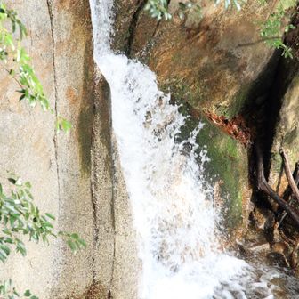 5、6mだけれど迫力があります💦