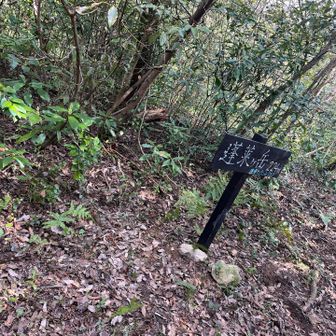 ここが島の最高峰