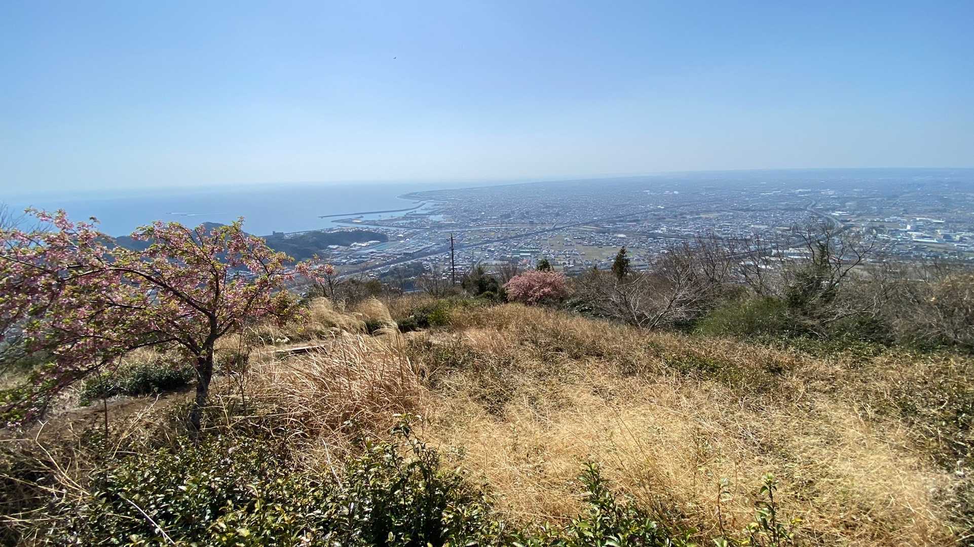 高草山 往復コースの写真