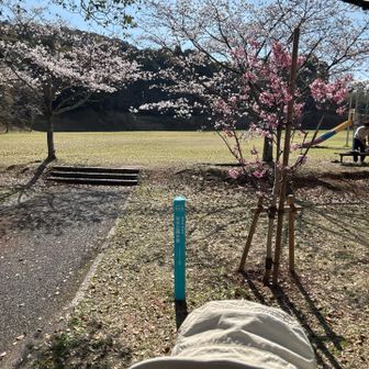 ドックラン🦮も？！