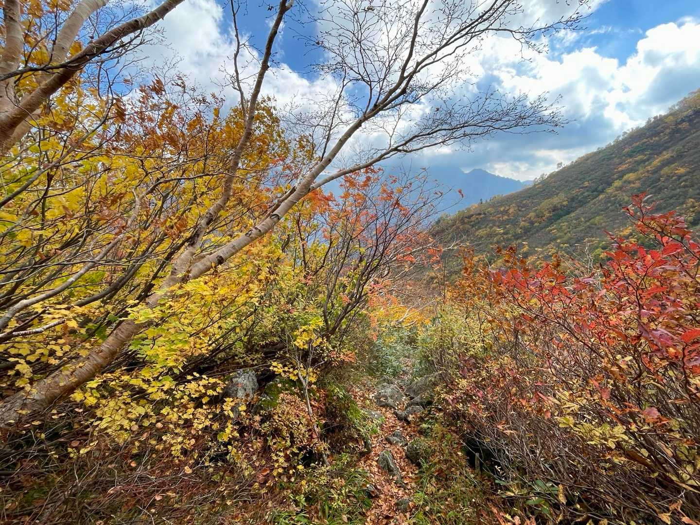 室堂登山口-一ノ越-東一ノ越-黒部平駅 縦走コースの写真