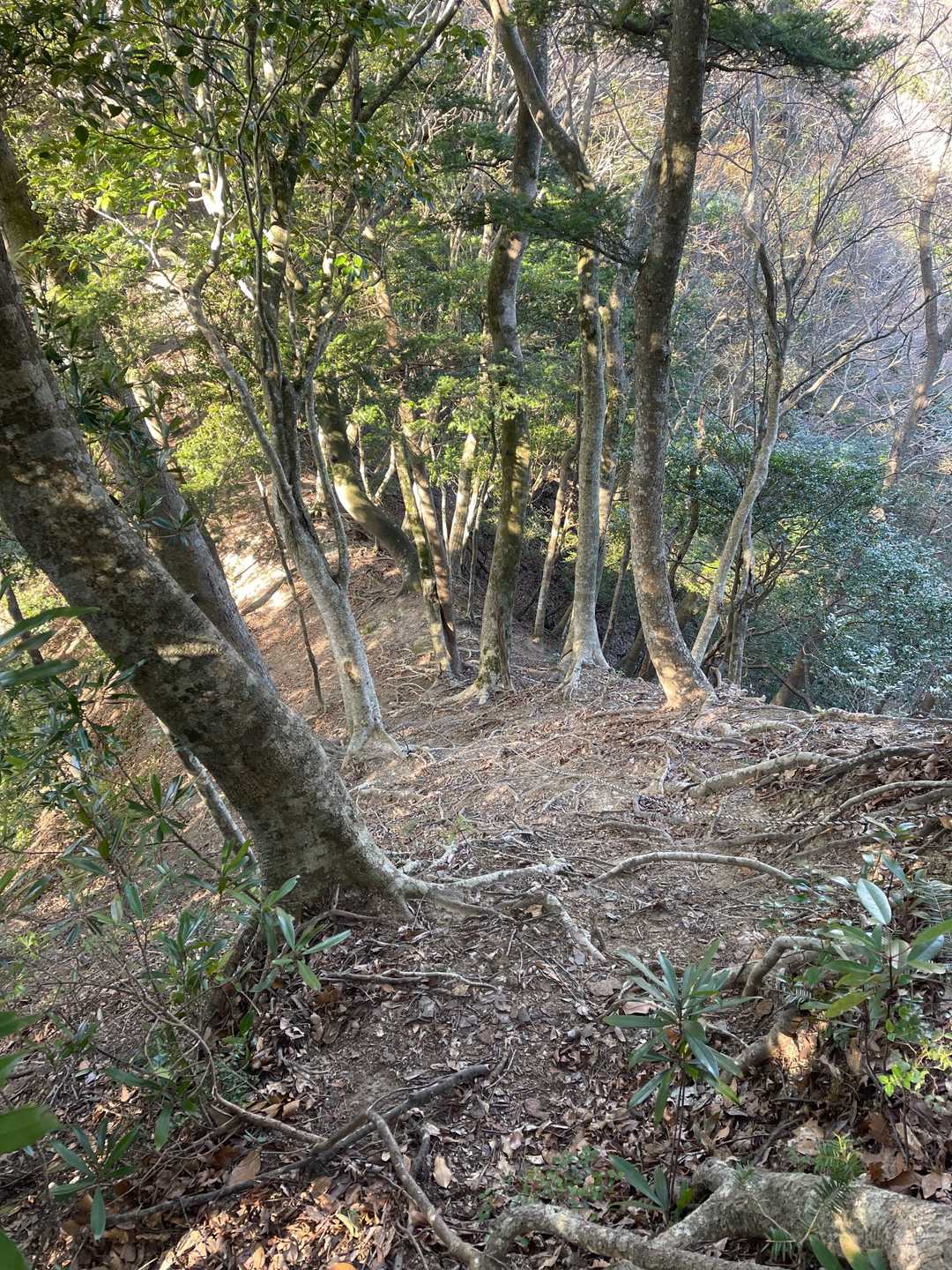 ロープ場の急な降りです、滑落にご注意ください。