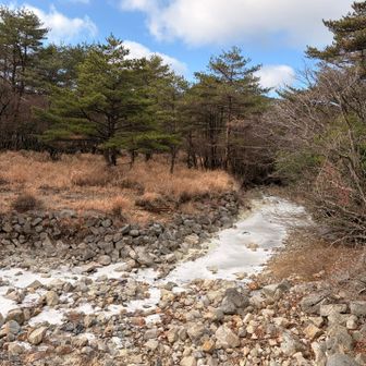 川が凍ってる！