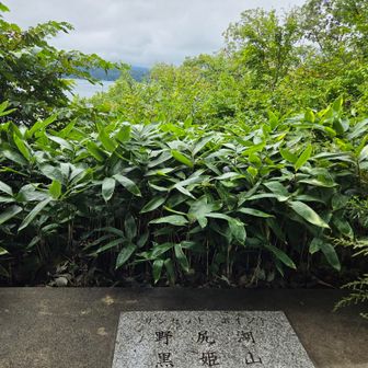 サンセットビューポイント
黒姫山、みえないね😅