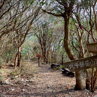 先は立ち入り禁止❌