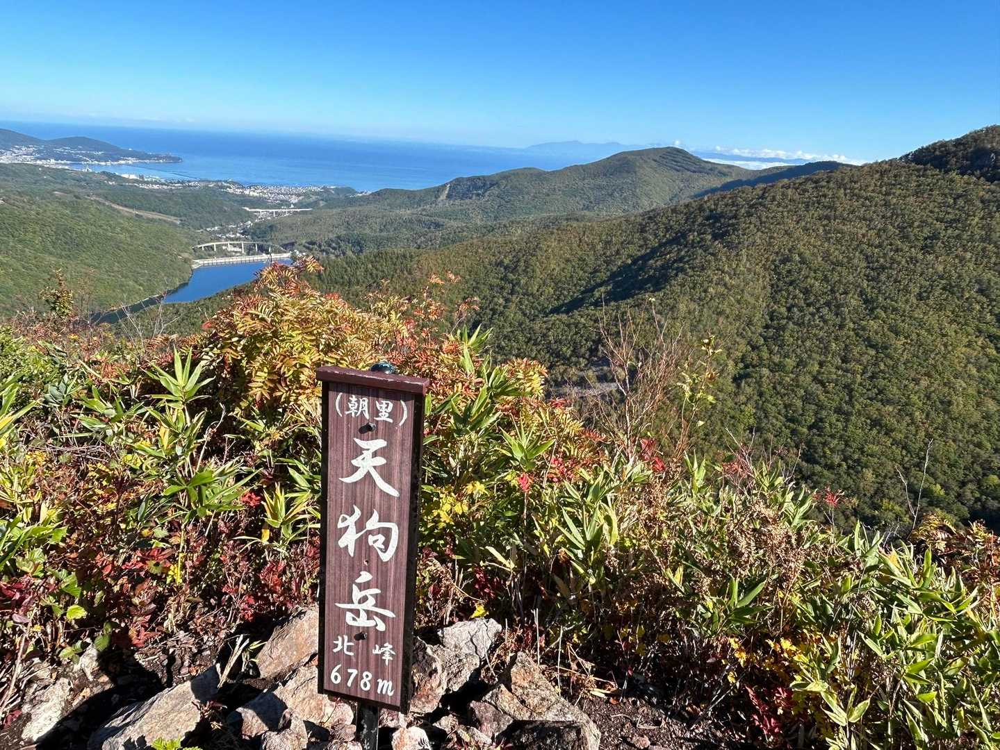 もう一枚
秋っぽい🍂