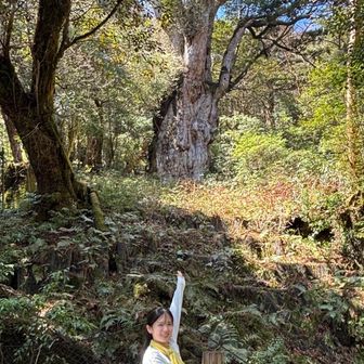 りさ