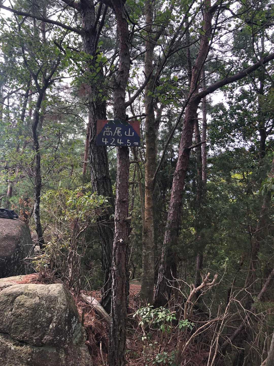 いつも通り過ぎそうになる、高尾山山頂⛰️