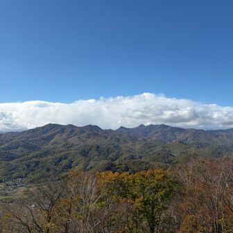 風はあるけど気温高いので問題なしでした🙌
今日は歩きたかったので良かった✨