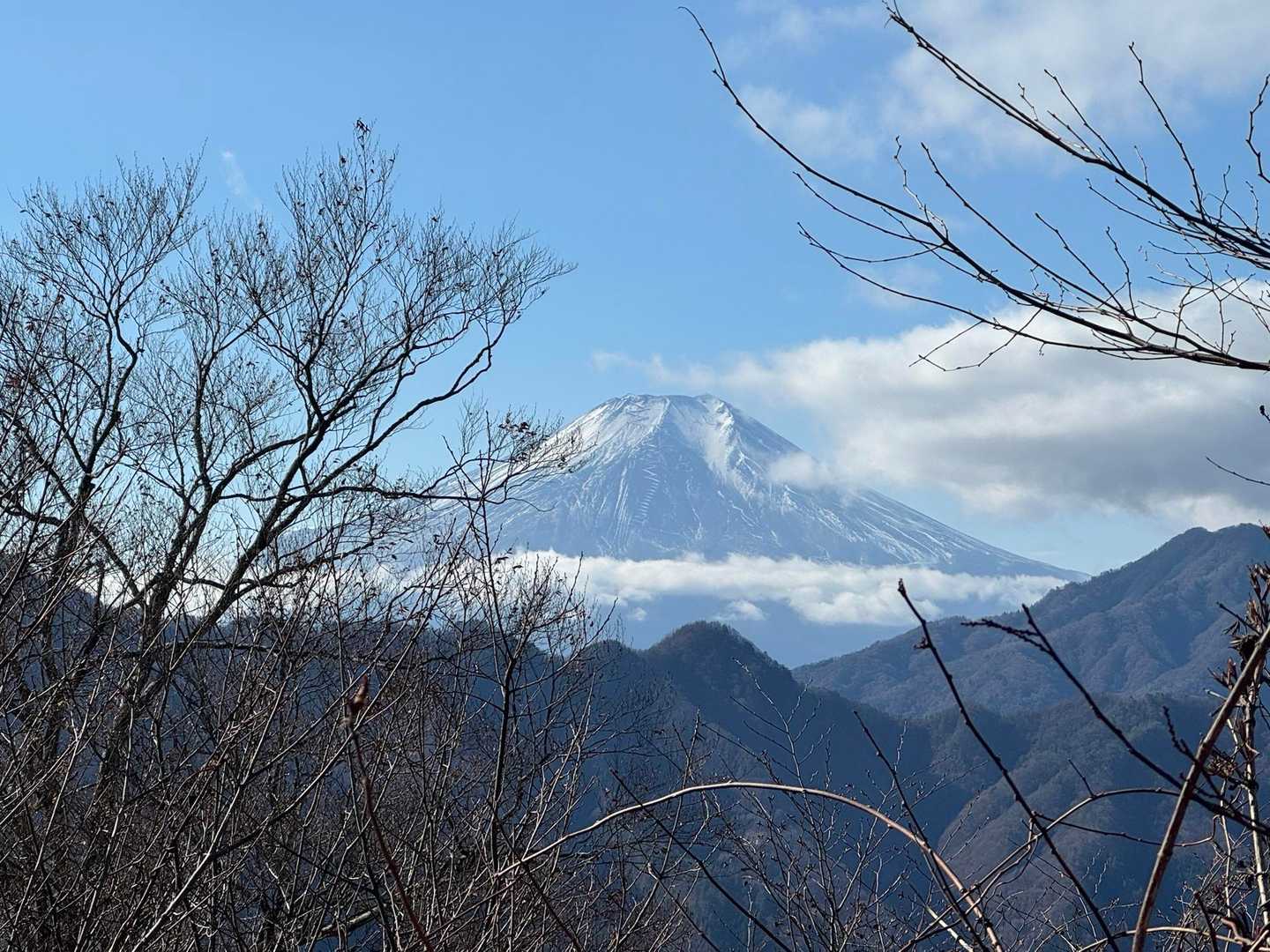 所々で富士山が見える👀