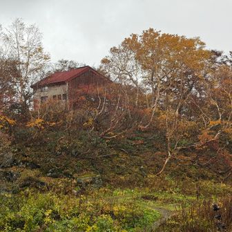 銀明水避難小屋も紅葉に包まれていた。
ここまで下がってきたら、ゴールは近い！
登山口まで1時間半⏰