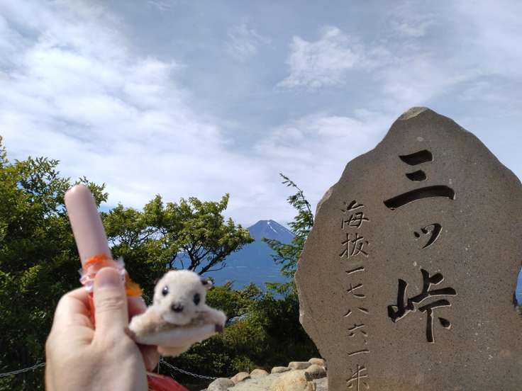 達磨石（三ッ峠山・本社ヶ丸・鶴ヶ鳥屋山 / 山梨） / アクセス・地図