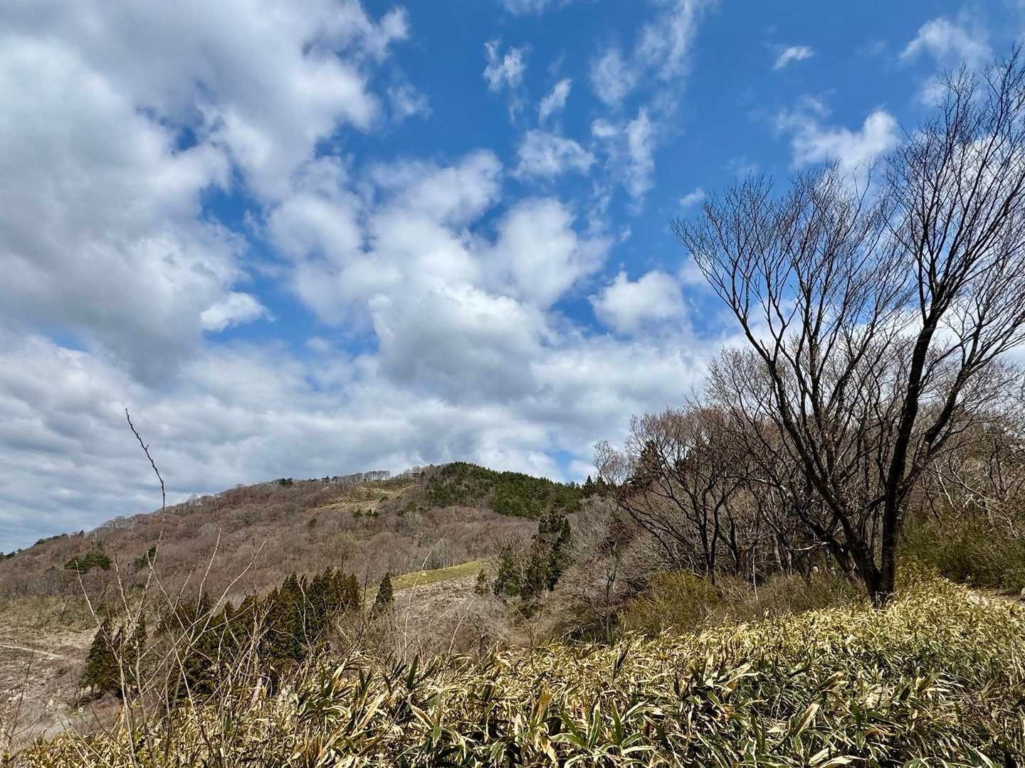 向こうに見えるのが駒形山かな
東屋みたいなの見える！
