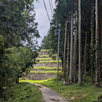 岩村城跡の立派な石垣