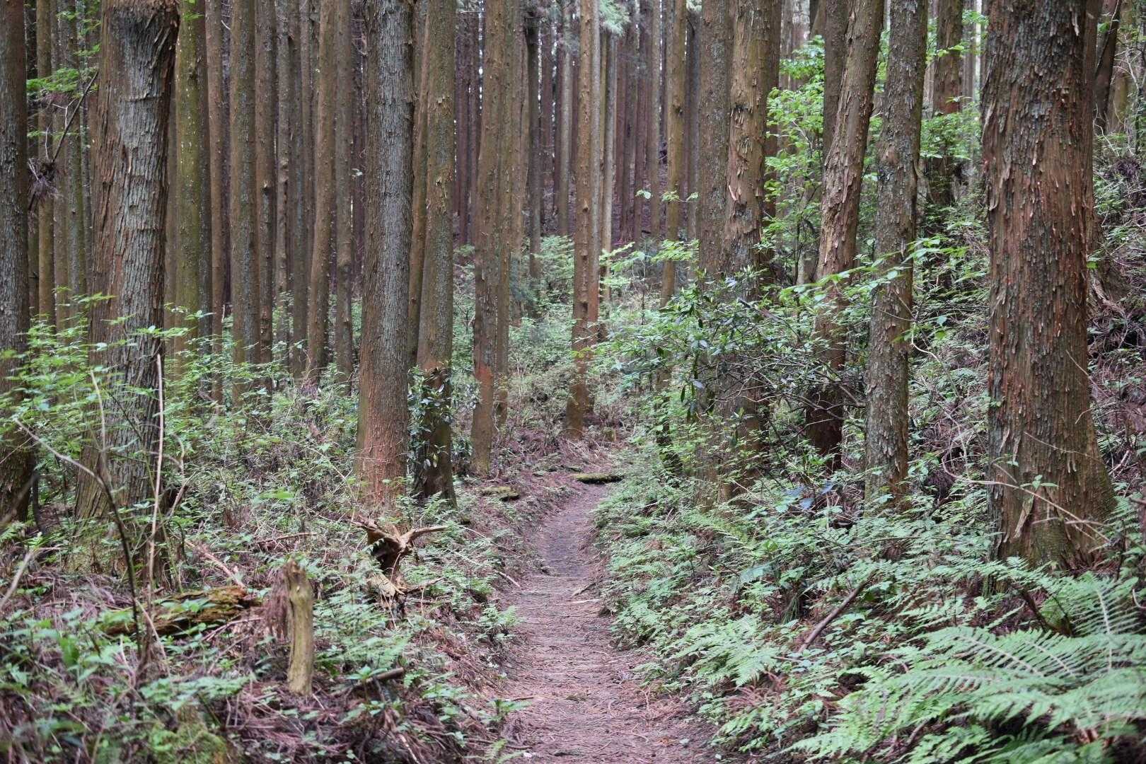 青崩⤵️